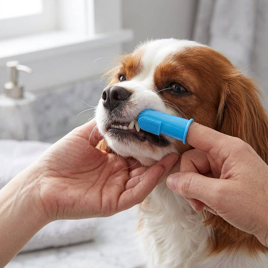 Pet Finger Toothbrush Set β 6 Ultra-Soft Manual Dental Brushes for Dogs & Cats