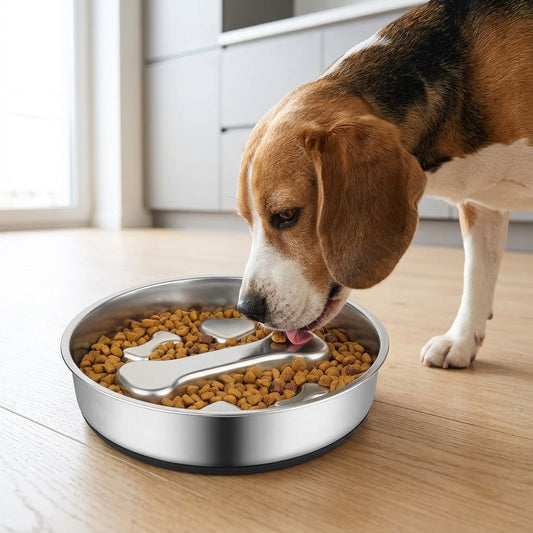 Stainless Steel Slow Feeder Bowl β 2-Cup Bone Maze Bowl for Dogs & Cats