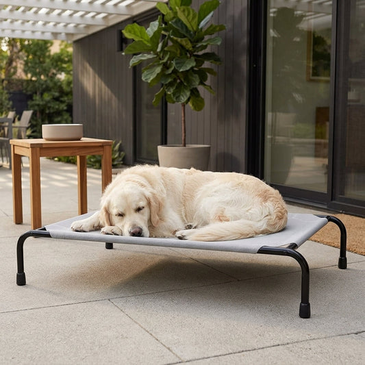 Elevated Cooling Dog Bed β 47.75" Large Outdoor & Indoor Dog Cot (Grey)
