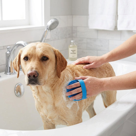 Pet Bathing & Grooming Brush Set β Soft Rubber Massage Brushes for Dogs & Cats, 2-Pack